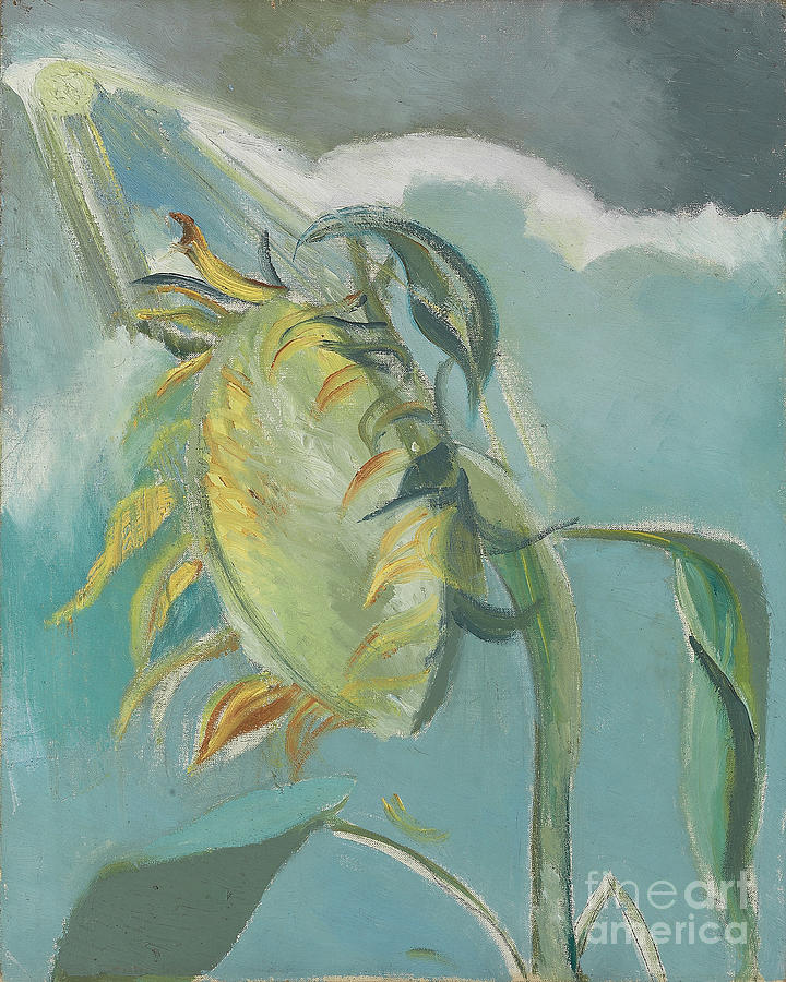 Sunflower And Sun, C. 1945 Painting by Paul Nash