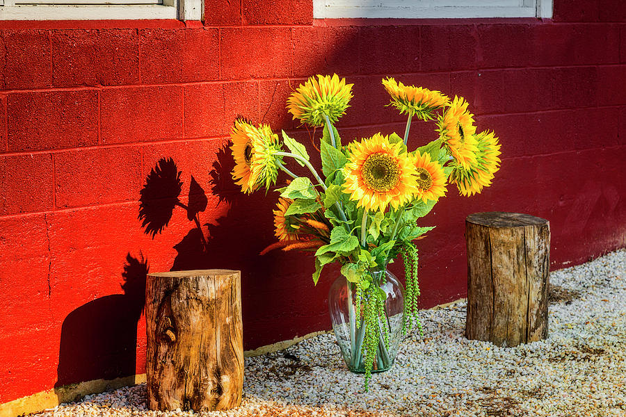 Sunflower Arrangement Photograph by Susan Candelario