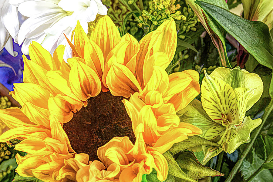 Sunflower Arrangement Photograph by Tom Mc Nemar