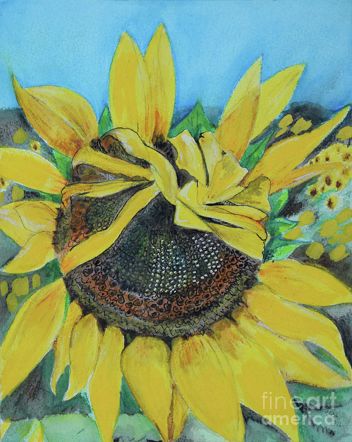 Sunflower Dance Drawing by Jan Dappen