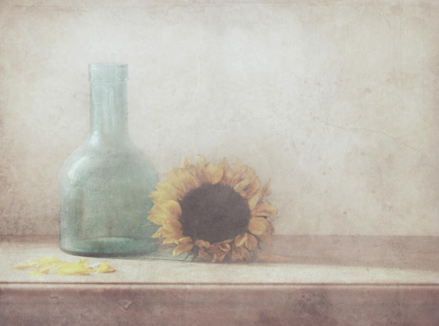 Sunflower Photograph by Delphine Devos