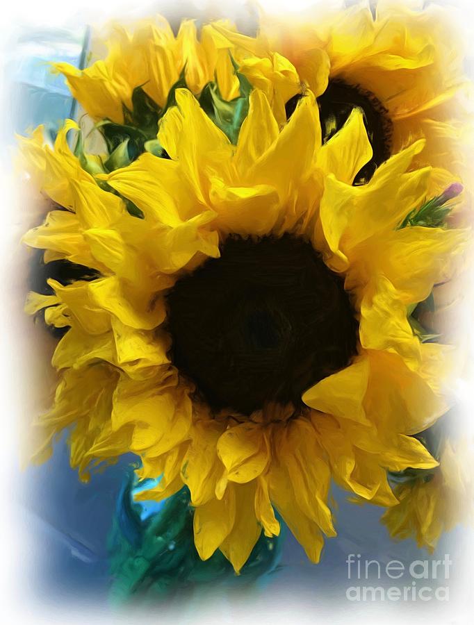 Sunflower Digital Painting Photograph