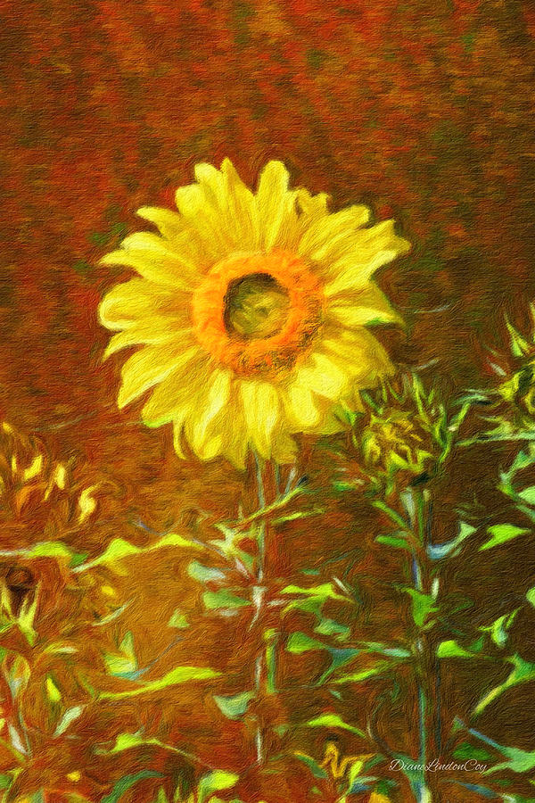 Sunflower in Umber Sky Photograph by Diane Lindon Coy