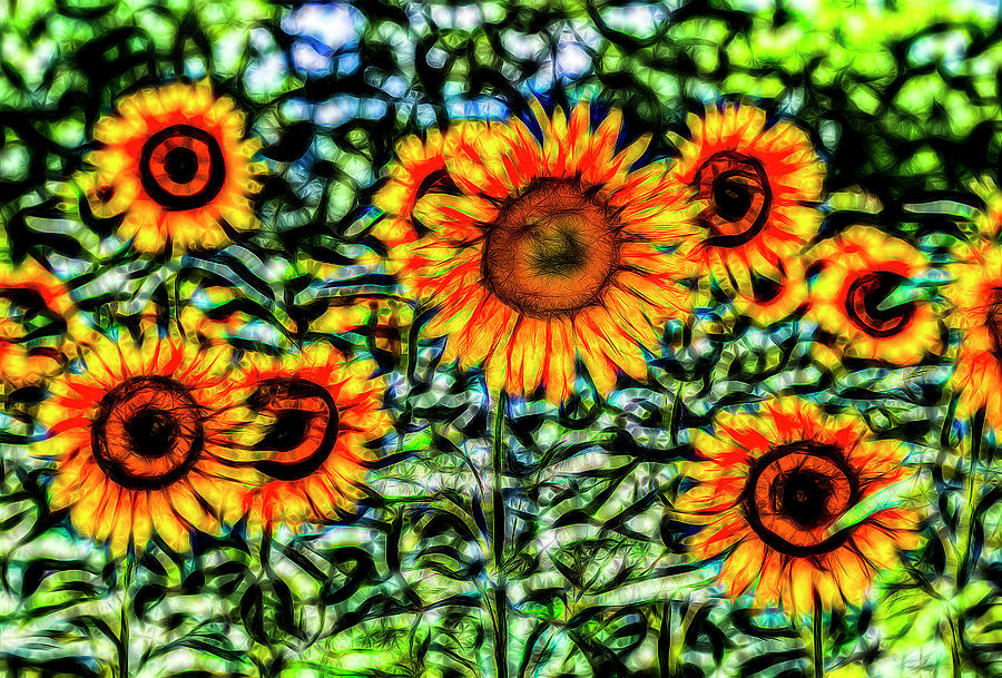 Sunflower Kaleidoscope Photograph