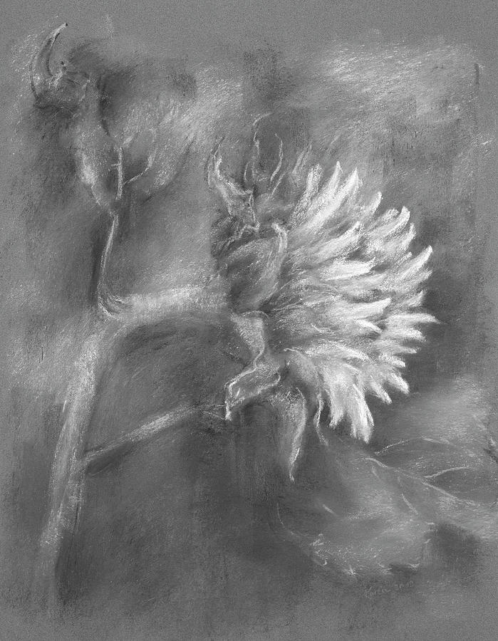 Sunflower  Painting by Karen Kaspar