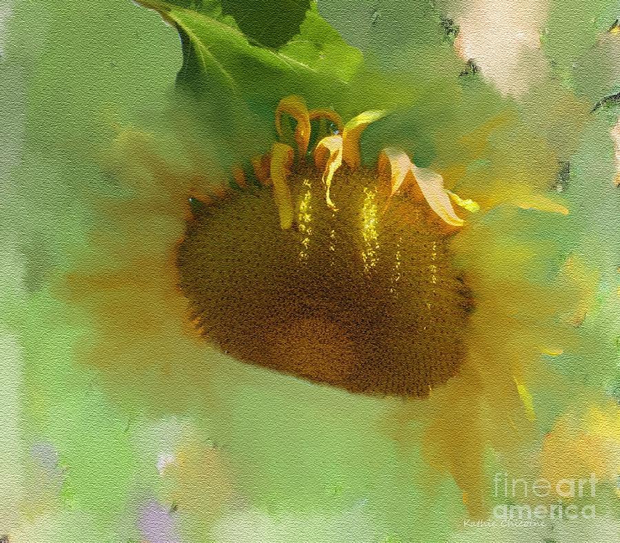 Sunflower Digital Art by Kathie Chicoine