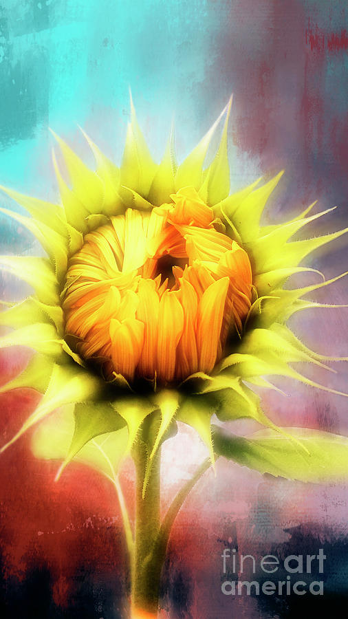 Sunflower Kisses Digital Art by Janie Johnson