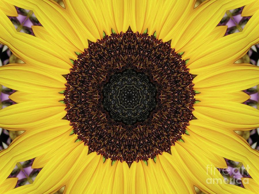 Sunflower Mandala Kaleidoscope Abstract 1 Photograph by Rose Santuci-Sofranko