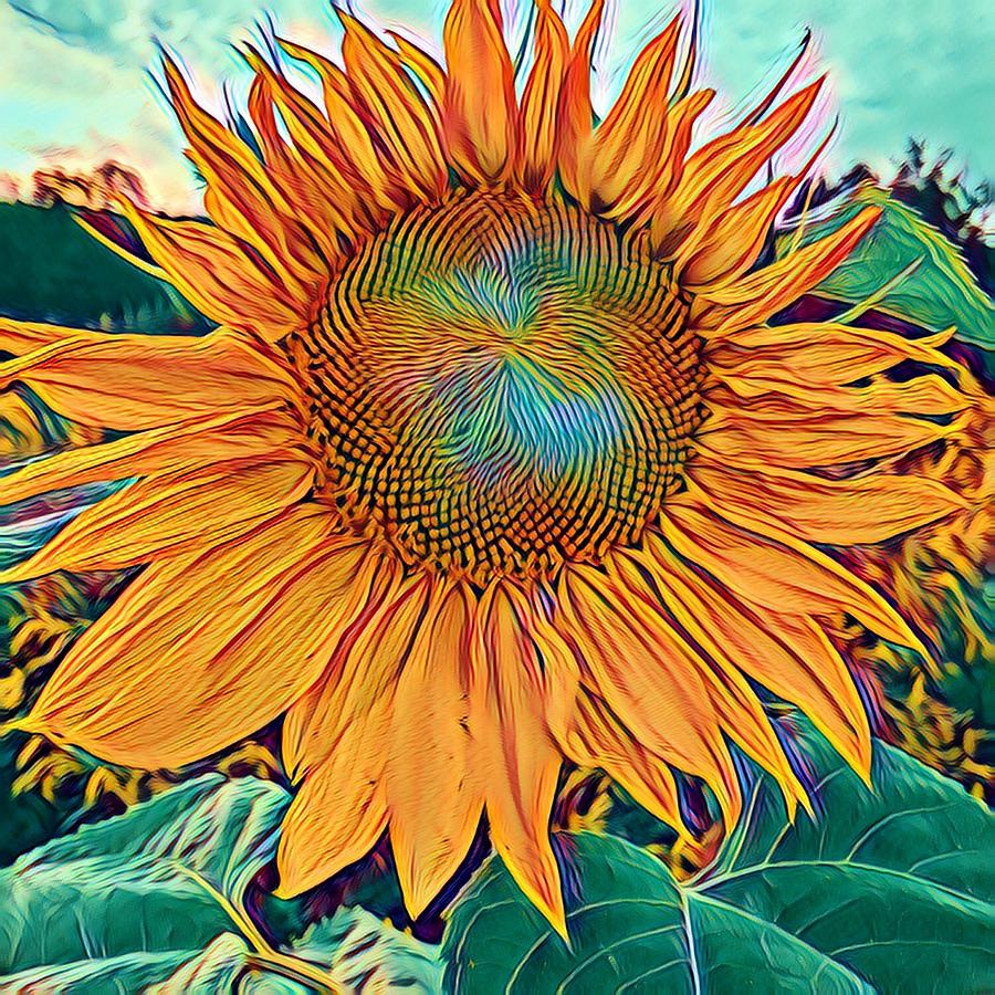 Sunflower Photograph by Maz Ghani