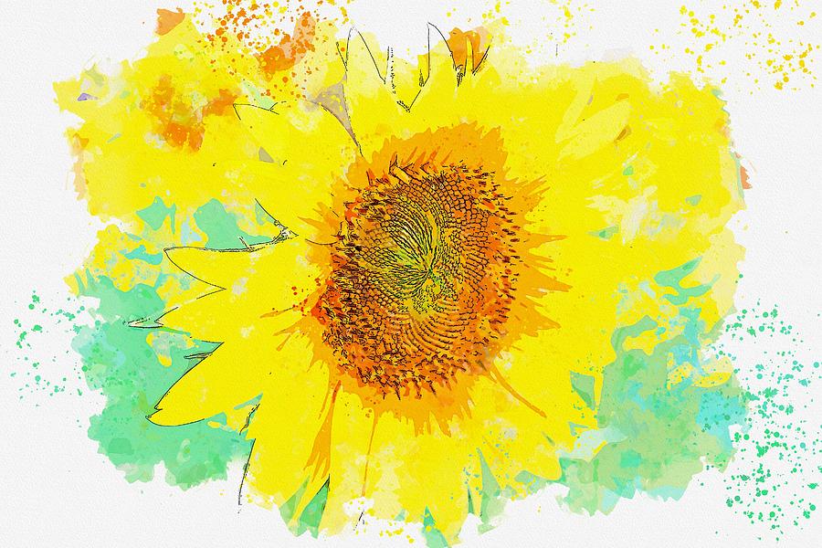 Sunflower Plant Flower Nature Agriculture Field watercolor by Ahmet Asar Painting by Celestial Images