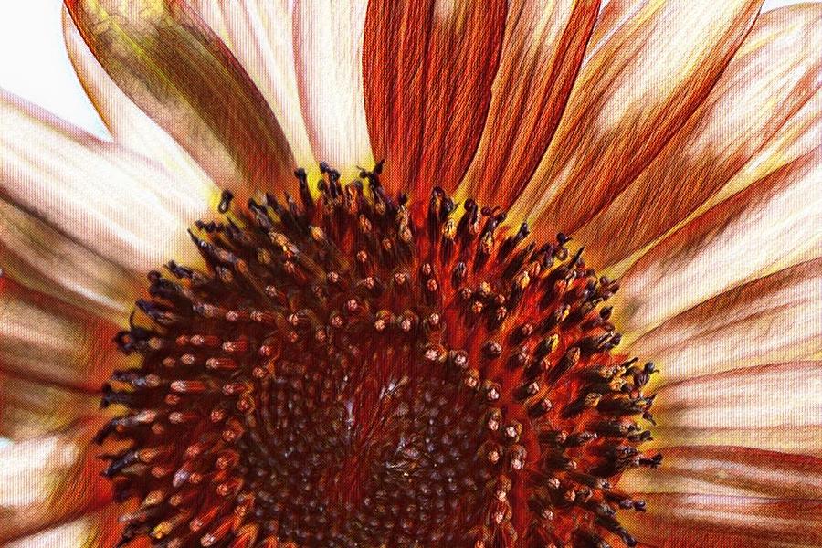 Sunflower Artsy Mixed Media