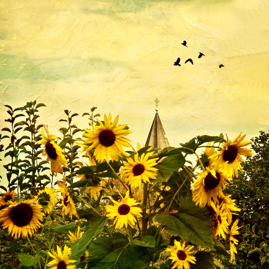Sunflower Serenade Photograph by Richard Cummings