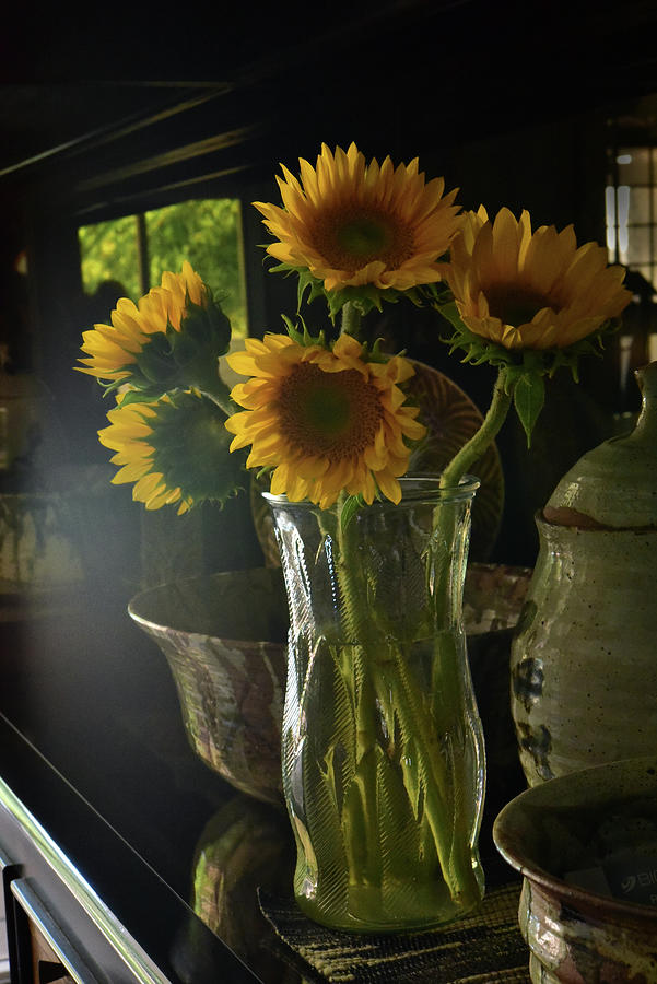 Sunflower Still Life 1  Photograph by Linda Brody