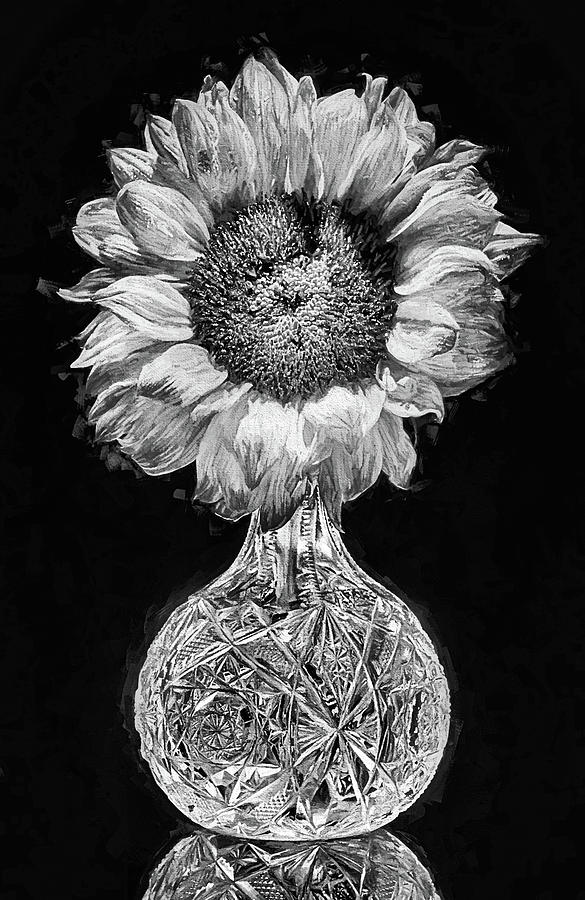 Sunflower Still Life Black and White Digital Art by JC Findley