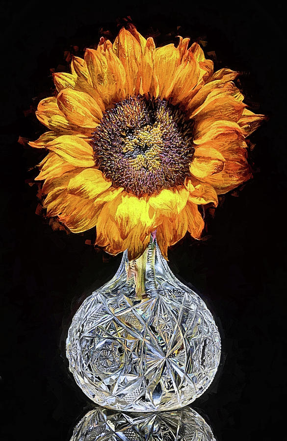Still Life Digital Art - Sunflower Still Life by JC Findley
