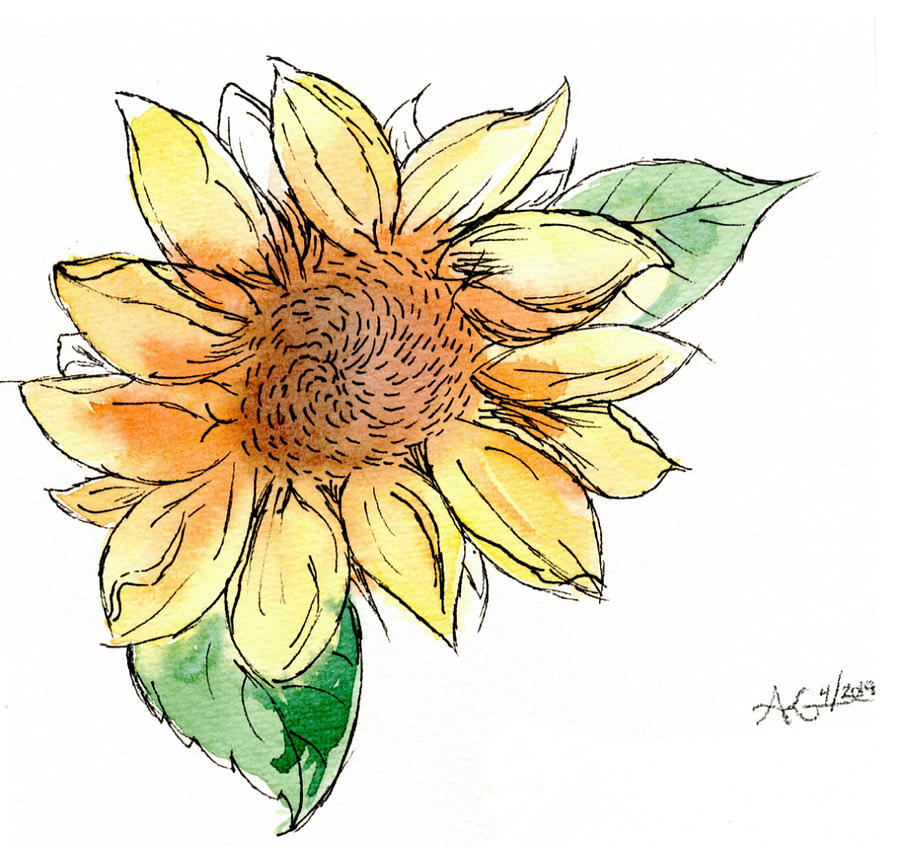 Sunflower Study  Mixed Media by Alexis King-Glandon