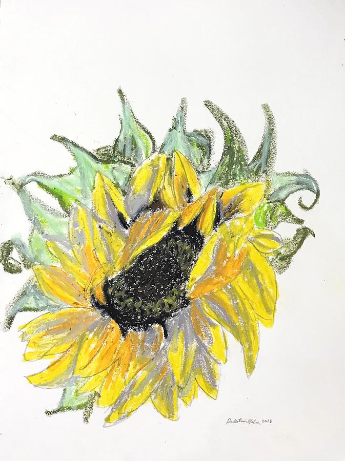 Sunflower Study Pastel by Danielle Rosaria