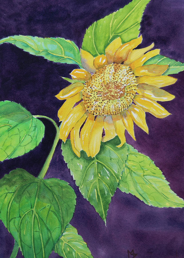 Sunflower Surprise Painting by Margaret Zabor