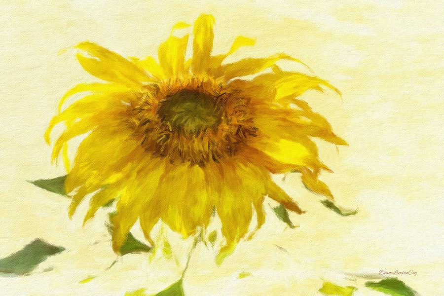 Sunflower Photograph - Sunflower Too by Diane Lindon Coy