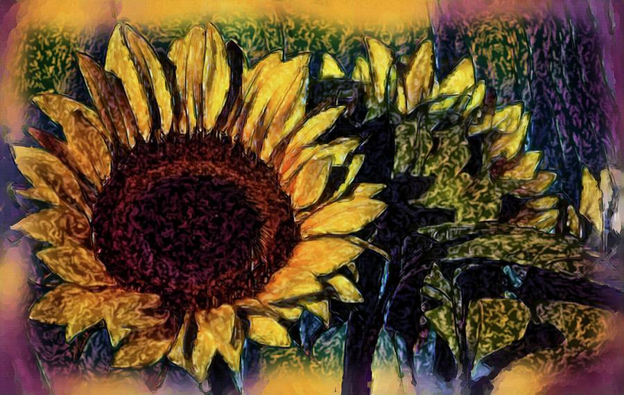 Sunflower Watercolor Painting by Debra Kewley