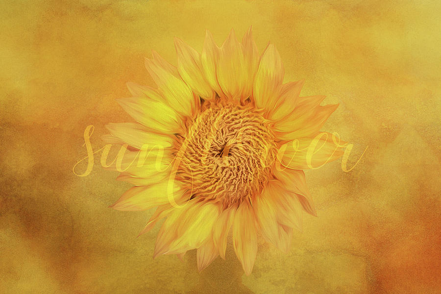 Sunflower Word Digital Art by Terry Davis