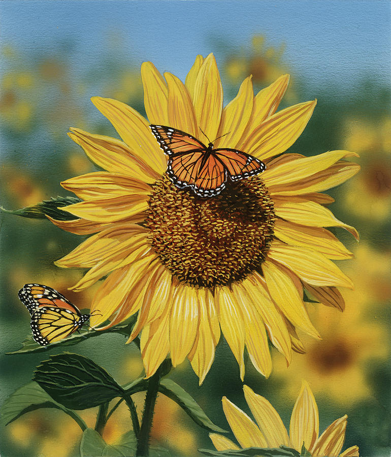 Flower Painting - Sunflower/butterflies by William Vanderdasson