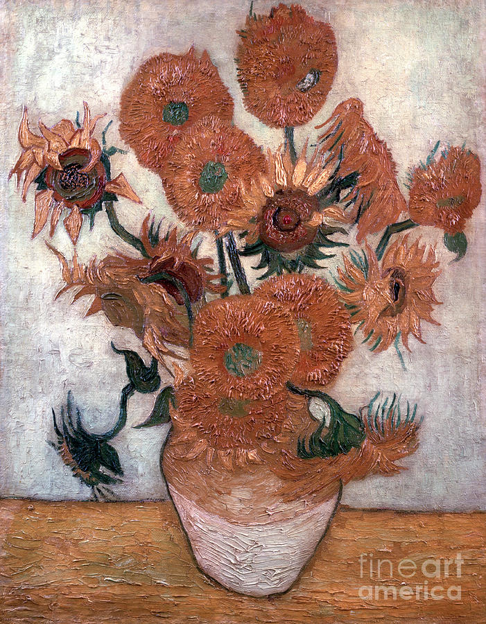 Sunflowers, 1889. Artist Vincent Van Drawing by Print Collector