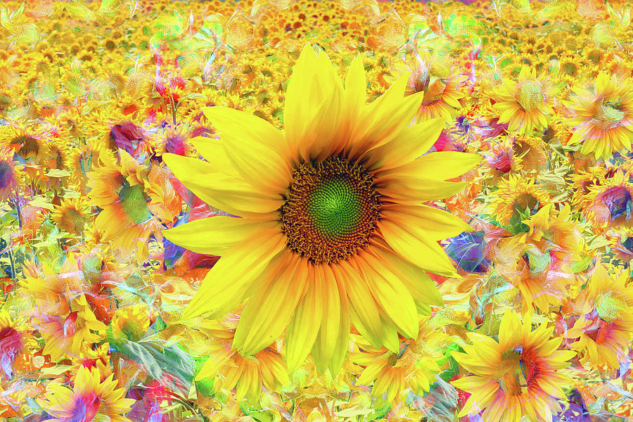 Nature Mixed Media - Sunflowers Are Beautiful by Ata Alishahi
