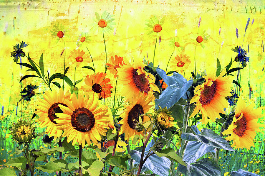 Sunflowers Mixed Media By Ata Alishahi Fine Art America