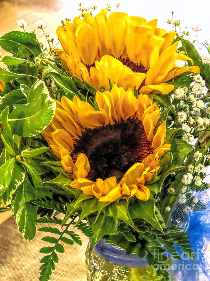 Sunflowers bouquet Photograph by Janice Drew