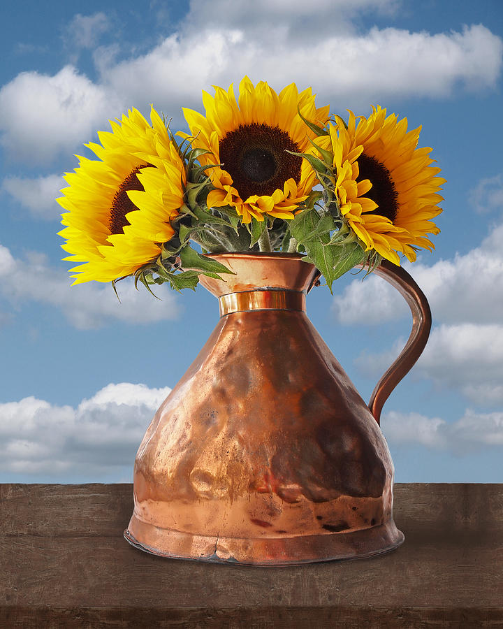 Sunflowers in Antique Copper Pitcher Photograph by Gill Billington