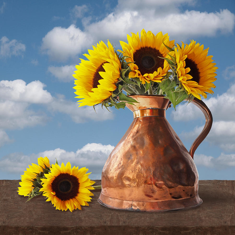 Sunflowers In Antique Copper Pitcher Square Photograph by Gill Billington