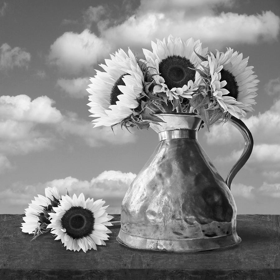 Sunflowers in Copper Pitcher Black And White Square Photograph by Gill Billington