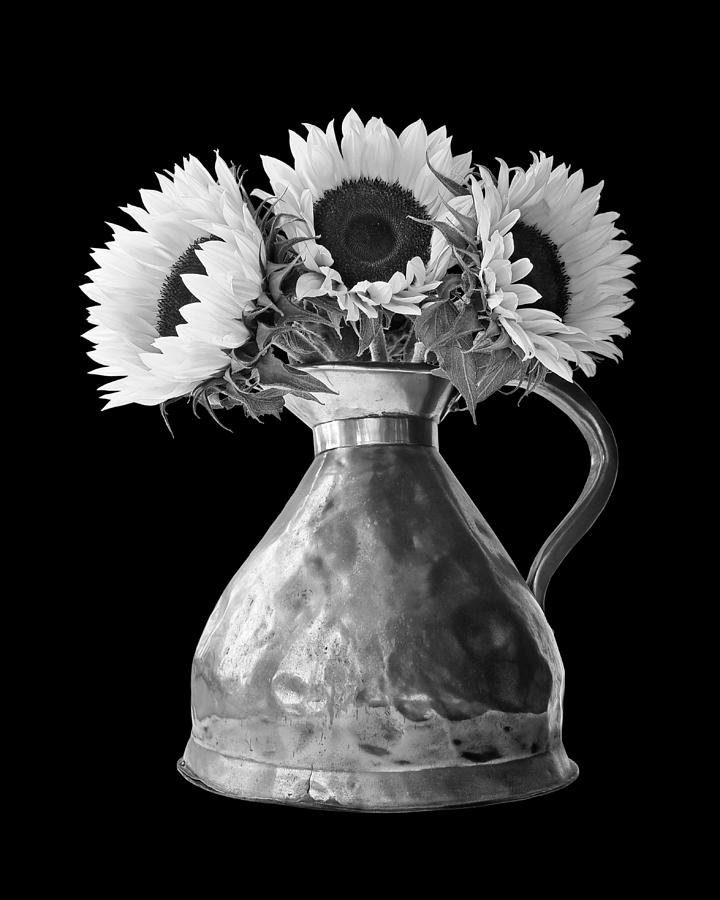Sunflowers in Copper Pitcher In Mono Photograph by Gill Billington