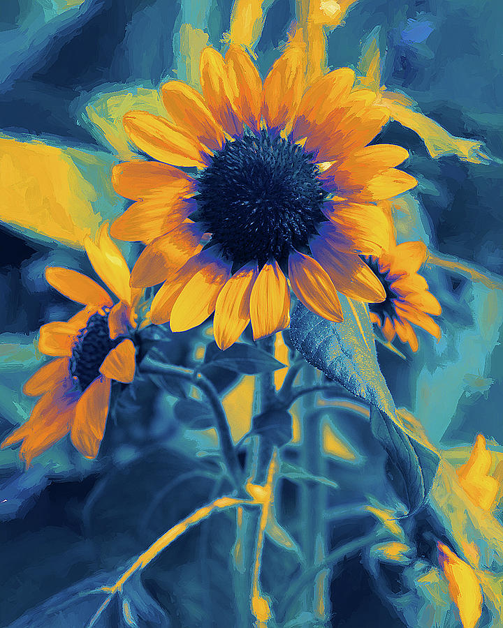 Sunflowers Photograph by John Freidenberg