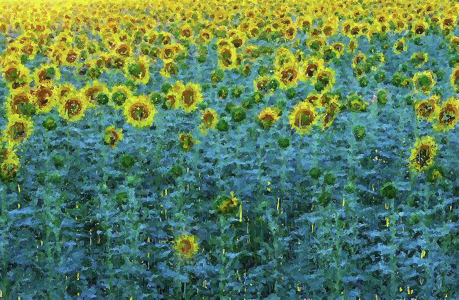 Sunflowers Paradise - 02 Painting by AM FineArtPrints