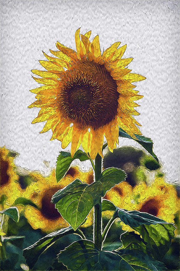 Sunflowers Paradise - 04 Painting by AM FineArtPrints