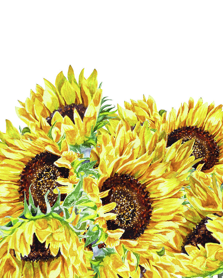 Sunflowers To The Sun Watercolor Painting by Irina Sztukowski