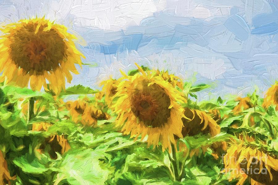 Sunflowers with dark sky Digital Art by Patricia Hofmeester