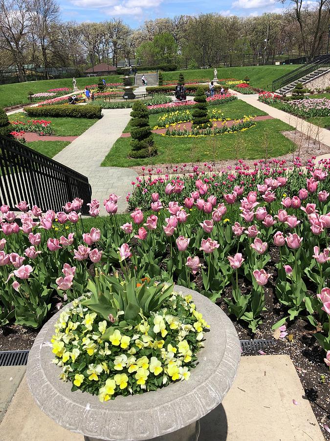 Sunken Garden at Phillips Park Photograph by Linda Barnes - Pixels