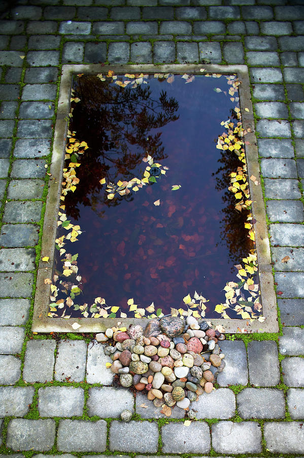 Sunken Pond With Colourful Pebbles Photograph by Kennet House Of Pictures / Havgaard
