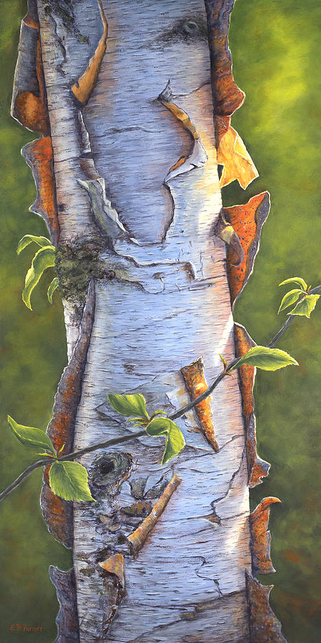 Sunkist Birch Bark Tree Painting by Elaine Farmer