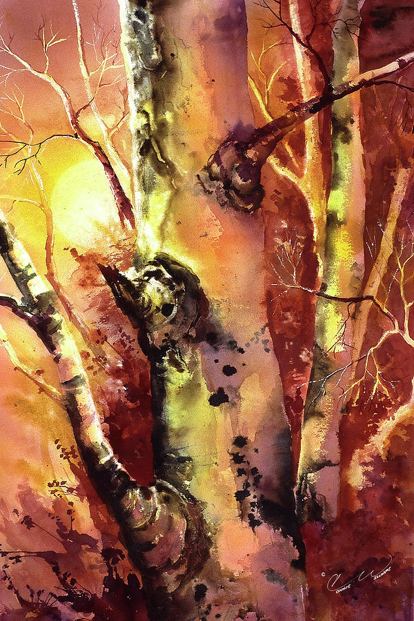 Sunlight Aspen Painting by Connie Williams