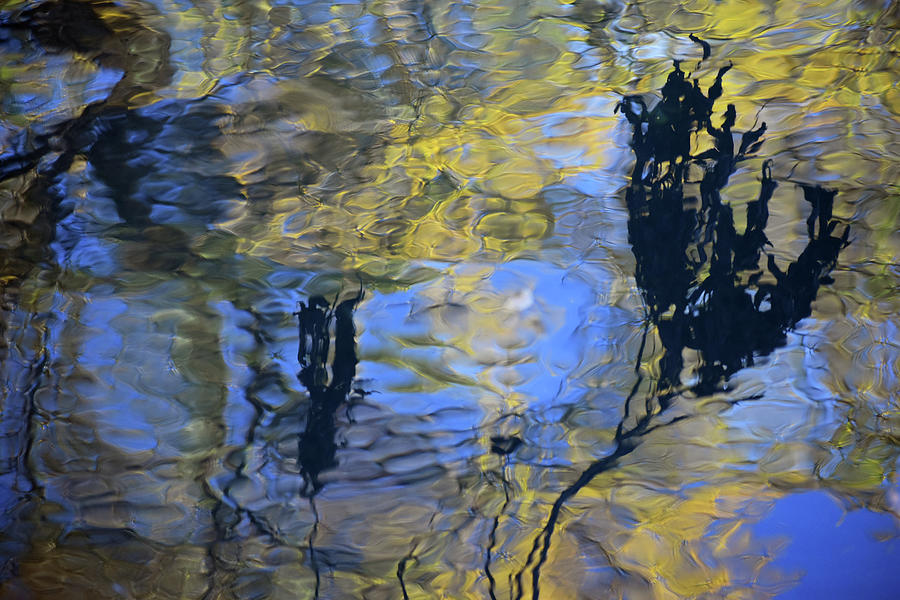 Sunlight Gilding the San Antonio River by Krin Van Tatenhove Sunlight Gilding the San Antonio River by Krin Van Tatenhove