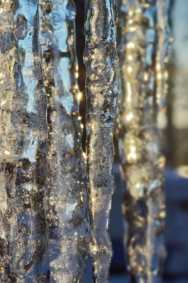 Sunlight is shinng through a row of icicles Photograph by Intensivelight
