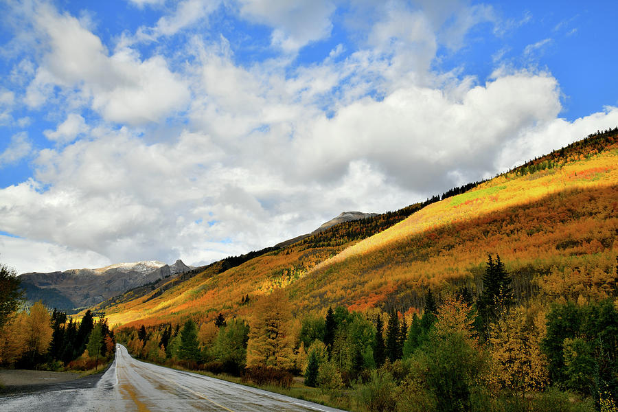 Sunlight on Fall Colors along Million Dollar Highway Photograph by Ray Mathis