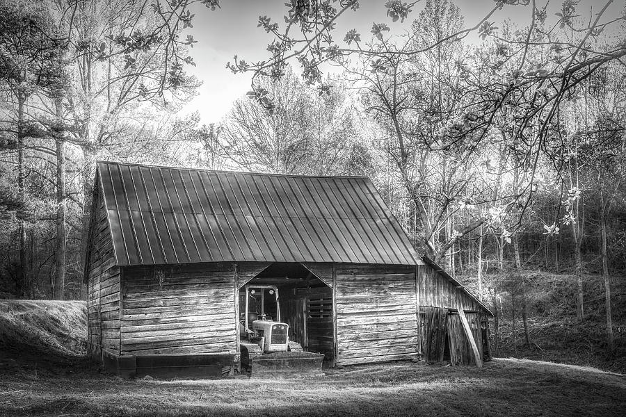 Sunlight on the Barn in Spring in Black and White Photograph by Debra and Dave Vanderlaan
