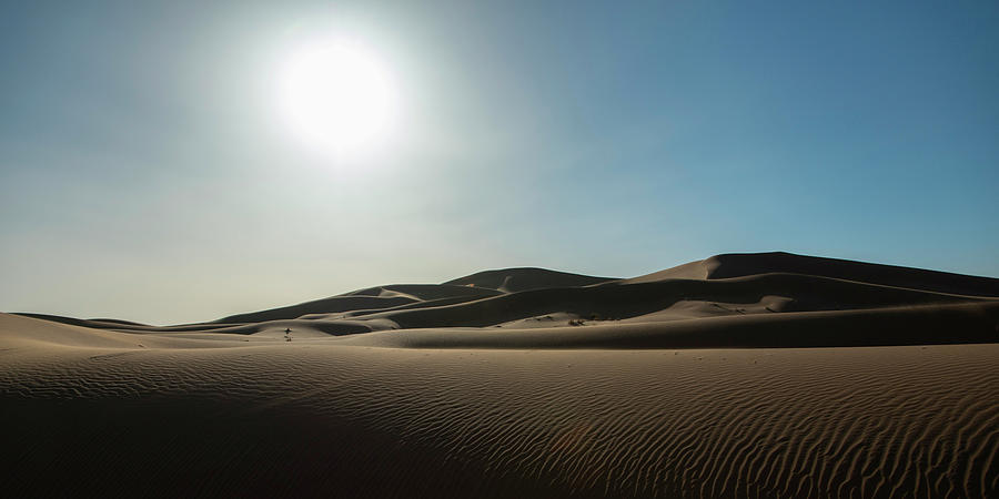 Sunlight Over A Hilly Sand Landscape Photograph by Keith Levit / Design Pics