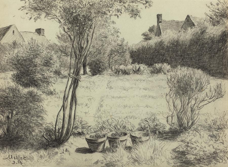 Tree Drawing - Sunlit Garden by Jean-baptiste Millet