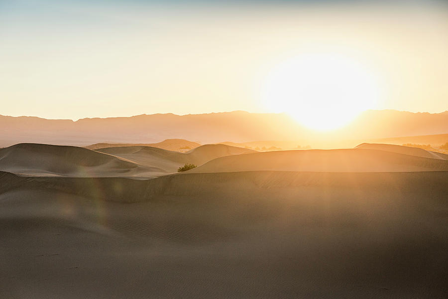 Death Valley National Park Digital Art - Sunlit Mesquite Flat Sand Dunes In Death Valley National Park, California, Usa by Manuel Sulzer